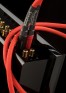 chord-shawline-analog-rca-with-amp-001.jpg